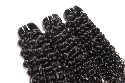 Burmese Curly