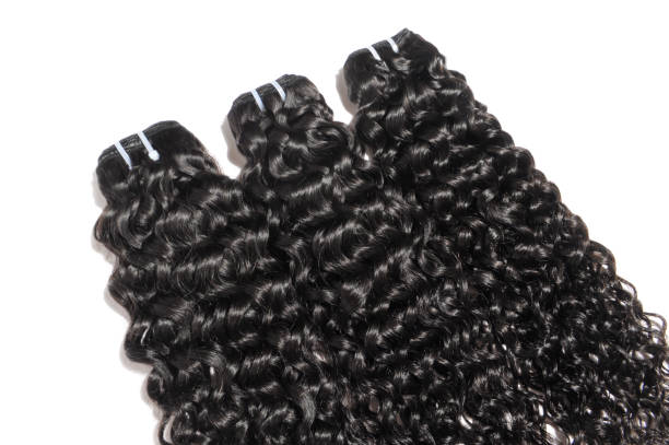 Burmese Curly