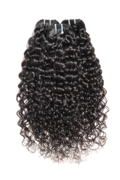 Burmese Curly